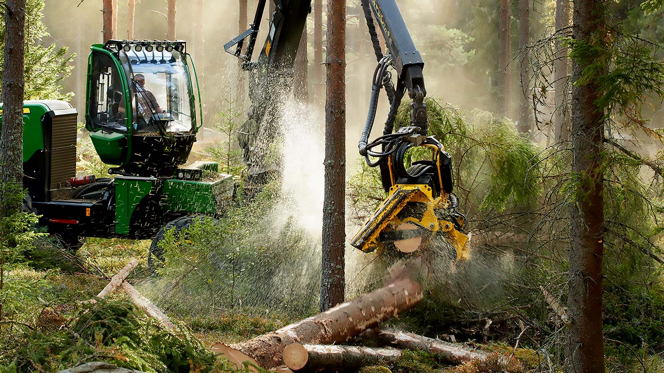 Harvester is working in a forest