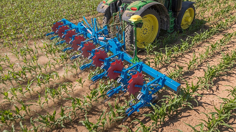 Automated high speed weed control